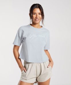 衣類 Gymshark エンブロイダリーグラフィック ミディTシャツ リバーストーングレー 女性 T2X264486