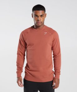 衣類 Gymshark クレストスウェットシャツ 柿赤 男性 T2X2641053