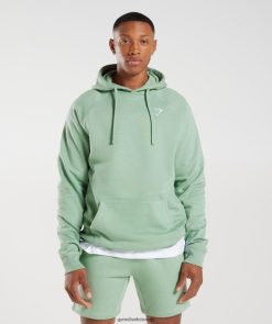衣類 Gymshark クレストパーカー デザートセージグリーン 男性 T2X264823