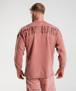衣類 Gymshark パワーウォッシュされた乗組員 ローズブラウン 男性 T2X264790