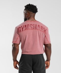 衣類 Gymshark パワーウォッシュTシャツ 天日干しの赤 男性 T2X264664