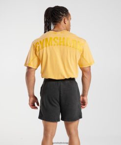 衣類 Gymshark パワーウォッシュTシャツ 晴れた黄色 男性 T2X264694
