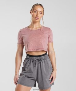 衣類 Gymshark レガシークロップトップ テラコッタピンク/アシッドウォッシュ 女性 T2X264502