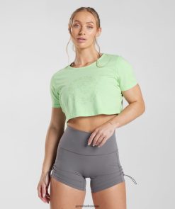 衣類 Gymshark レガシークロップトップ フレッシュミントグリーン/アシッドウォッシュ 女性 T2X264503
