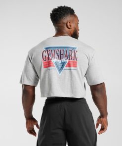 衣類 Gymshark レトロウェーブ クロップTシャツ ライトグレーのコアマール 男性 T2X264588