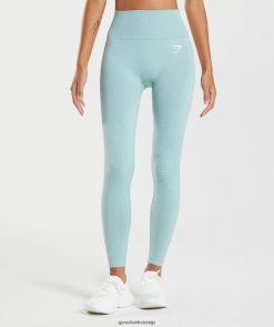 衣類 Gymshark Vital シームレス 2.0 レギンス パールブルーメール 女性 T2X264336